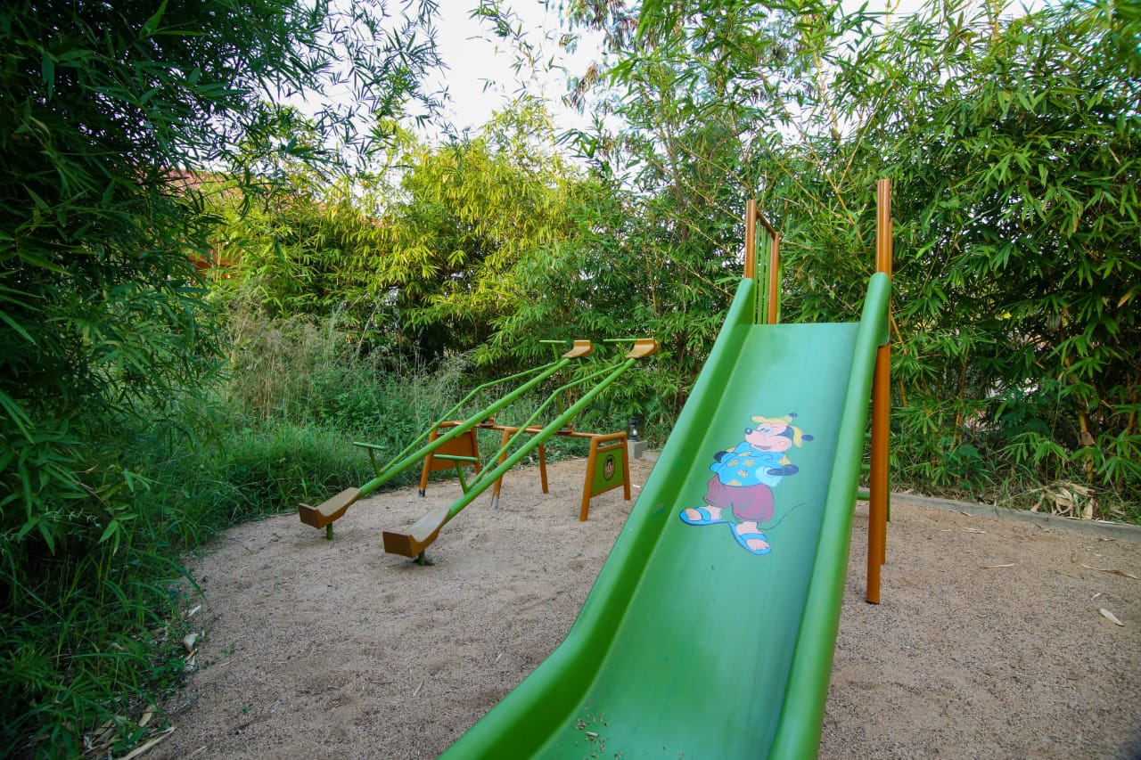 slide set among the bamboo