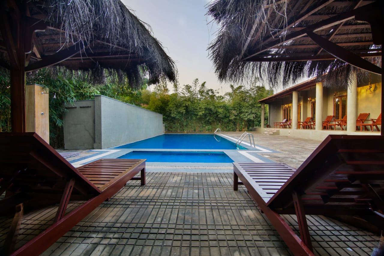 Pool and thatched cabana in afternoon light